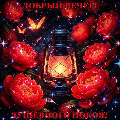 Открытка «Пожелание»: Добрый вечер: мерцающие цветы и душевный покой. Тэги: красивая, цветок, фонарь, настроение…