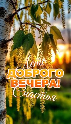 Открытка «Пожелание»: Лето Доброго Вечера! Пожелание Счастья. Тэги: улыбка, красивая, позитив, радость, счастье…