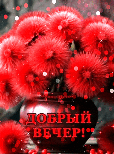 Открытка «Пожелание»: «Добрый вечер!» – Яркая открытка с цветами. Тэги: улыбка, красивая, позитив, радость, цветок…