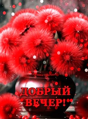Открытка «Пожелание»: «Добрый вечер!» – Яркая открытка с цветами. Тэги: улыбка, красивая, позитив, радость, цветок…