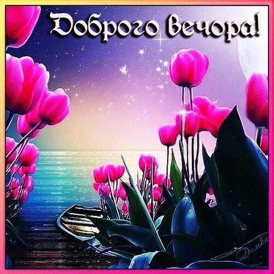 Открытка «Пожелание»: Доброго Вечера! Нежные тюльпаны у моря. Тэги: красивая, цветок, настроение, нежная, природа…