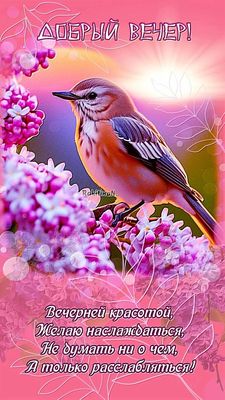 Открытка «Животное»: «Добрый вечер»! Птичка и нежное пожелание.. Тэги: пожелание, красивая, позитив, цветок, настроен…