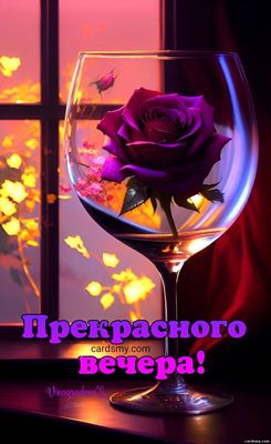Открытка «Пожелание»: Прекрасного вечера! Нежная роза в бокале. Тэги: мужчина, женщина, красивая, цветок, окно…