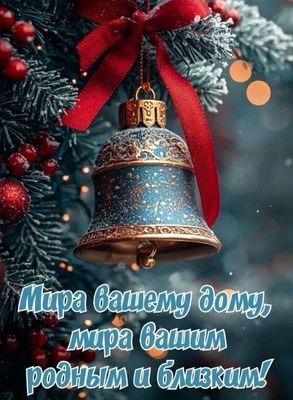 Открытка «Пожелание»: Мир дому и близким: Зимнее душевное пожелание. Тэги: красивая, добрый день, зима, бант, ягода…