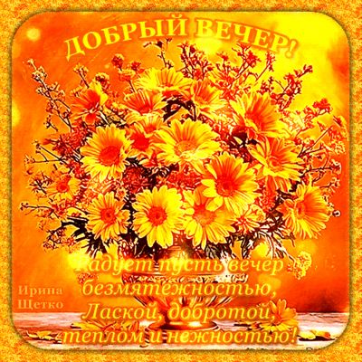 Открытка «Пожелание»: «Добрый вечер»: букет нежности и тепла. Тэги: красивая, позитив, радость, цветок, тепло, стих…