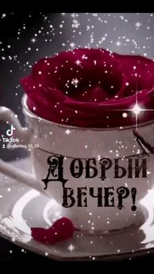 Открытка «Пожелание»: Нежный «Добрый вечер!»: роза в блестящей чашке. Тэги: красивая, позитив, радость, цветок, чашка…