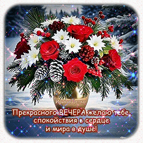 Открытка «Пожелание»: Прекрасного вечера: мир и спокойствие в душе!. Тэги: красивая, цветок, зима, ягода, снег, роза…