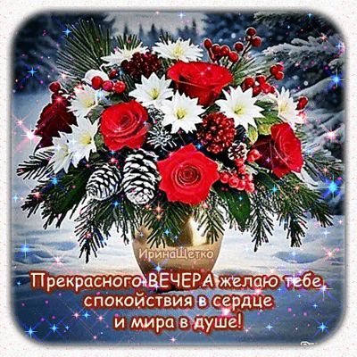Открытка «Пожелание»: Прекрасного вечера: мир и спокойствие в душе!. Тэги: красивая, цветок, зима, ягода, снег, роза…