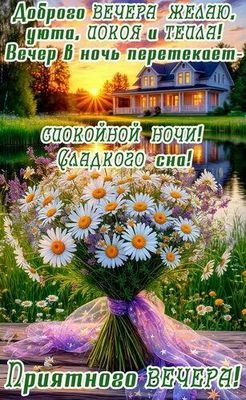 Открытка «Пожелание»: Добрых пожеланий: Уютный вечер и спокойной ночи. Тэги: красивая, цветок, уют, тепло, настроение…