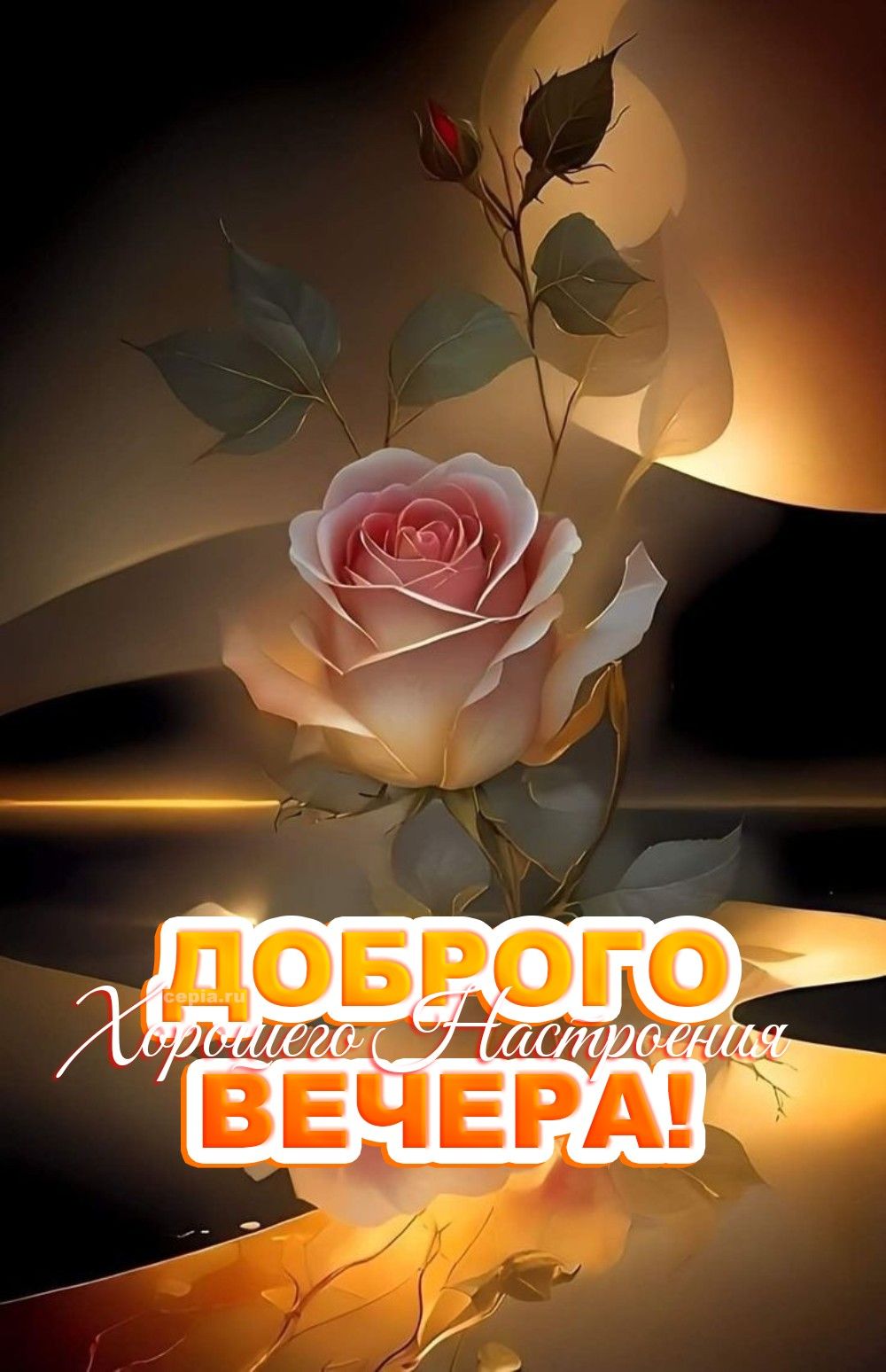 Открытка «Пожелание»: Нежная роза: добрый вечер, хорошее настроение. Тэги: красивая, позитив, радость, цветок, настро…