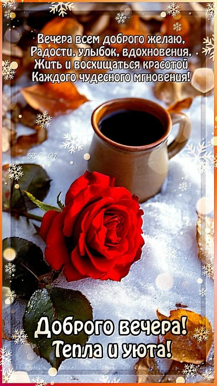 Открытка «Пожелание»: Доброго вечера! Уют, роза и снежное вдохновение. Тэги: улыбка, красивая, кофе, радость, цветок…