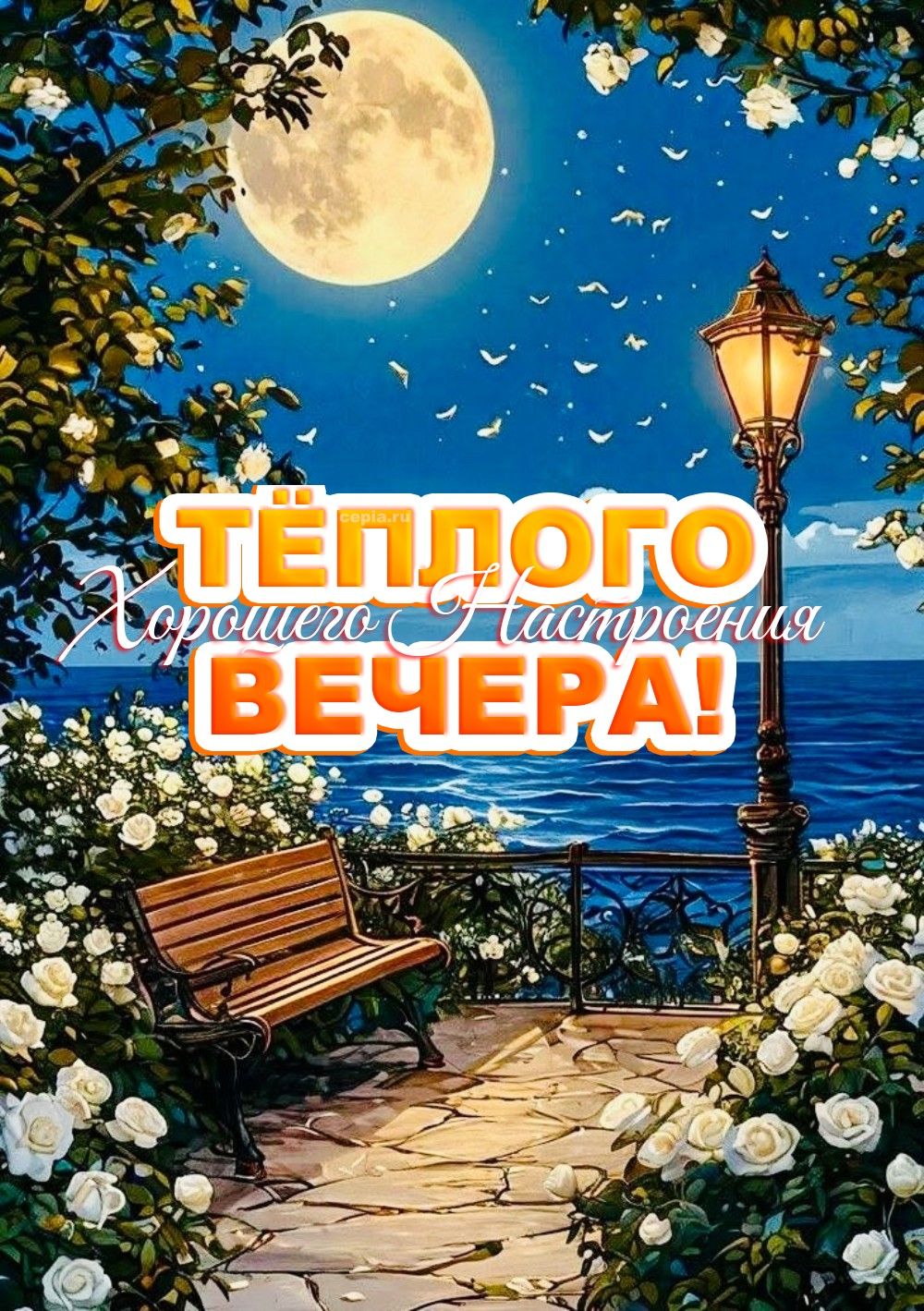 Открытка «Пожелание»: Тёплого вечера и хорошего настроения. Тэги: красивая, позитив, радость, цветок, фонарь, настрое…