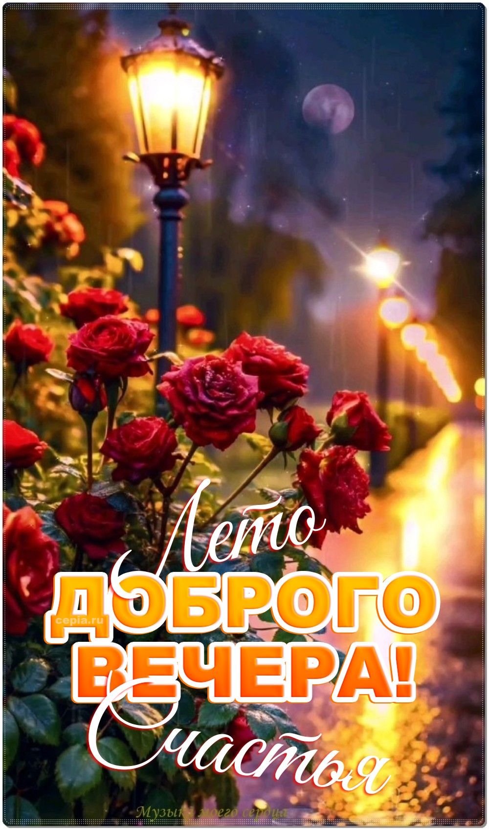 Открытка «Пожелание»: Лето. Доброго вечера! Счастье с розами. Тэги: красивая, позитив, радость, цветок, фонарь…