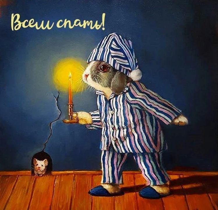 Открытка «Животное»: «Всем спать!» Милая открытка для сладких снов. Тэги: пожелание, юмор, прикольная, смешная…
