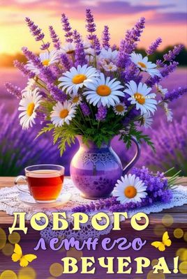 Открытка «Пожелание»: Доброго летнего вечера! Ромашки и чай. Тэги: красивая, позитив, цветок, чай, настроение, нежная…