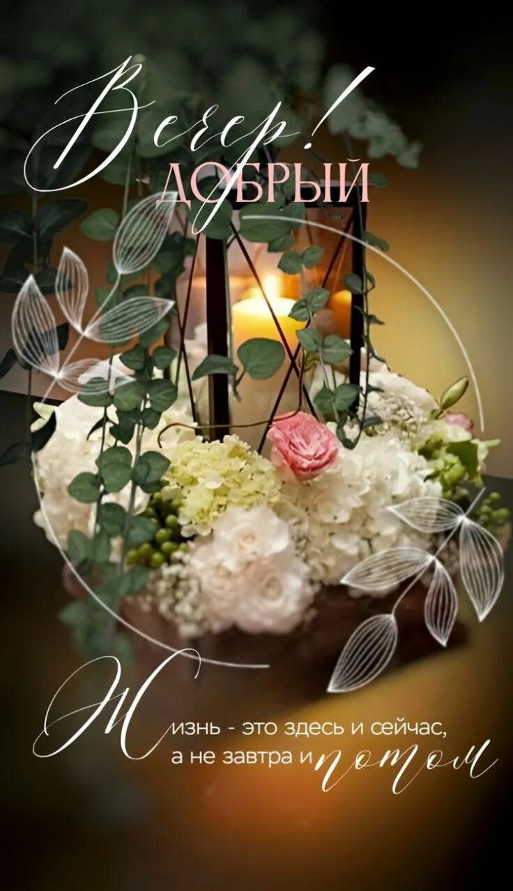 Открытка «Пожелание»: Уютный добрый вечер: жизнь здесь и сейчас. Тэги: красивая, цветок, фонарь, настроение, мудрость…