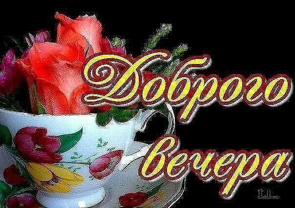 Открытка «Пожелание»: Красивая открытка «Доброго вечера» с розами в чашке. Тэги: красивая, цветок, чашка, настроение…