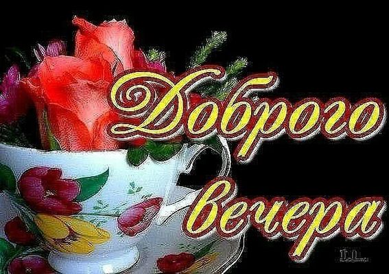 Открытка «Пожелание»: Красивая открытка «Доброго вечера» с розами в чашке. Тэги: красивая, цветок, чашка, настроение…