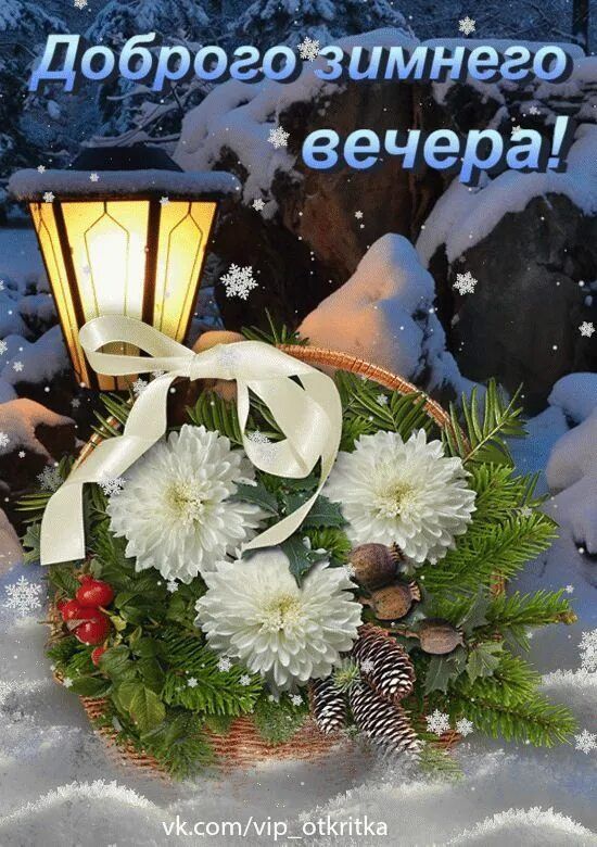 Открытка «Пожелание»: Доброго зимнего вечера! Красивая открытка со снегом. Тэги: красивая, цветок, фонарь, настроение…