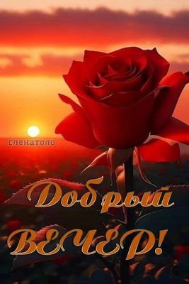 Открытка «Пожелание»: Добрый вечер! Красивая роза на фоне заката. Тэги: красивая, позитив, цветок, настроение, нежная…