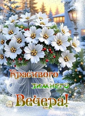 Открытка «Пожелание»: «Красивого зимнего вечера» – нежная открытка с цветами. Тэги: красивая, цветок, фонарь, настрое…