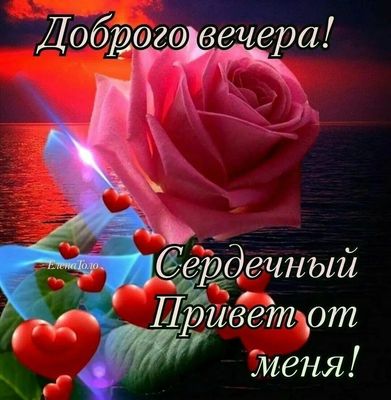 Открытка «Пожелание»: Доброго вечера! Роза и сердечный привет. Тэги: красивая, позитив, радость, сердце, цветок…
