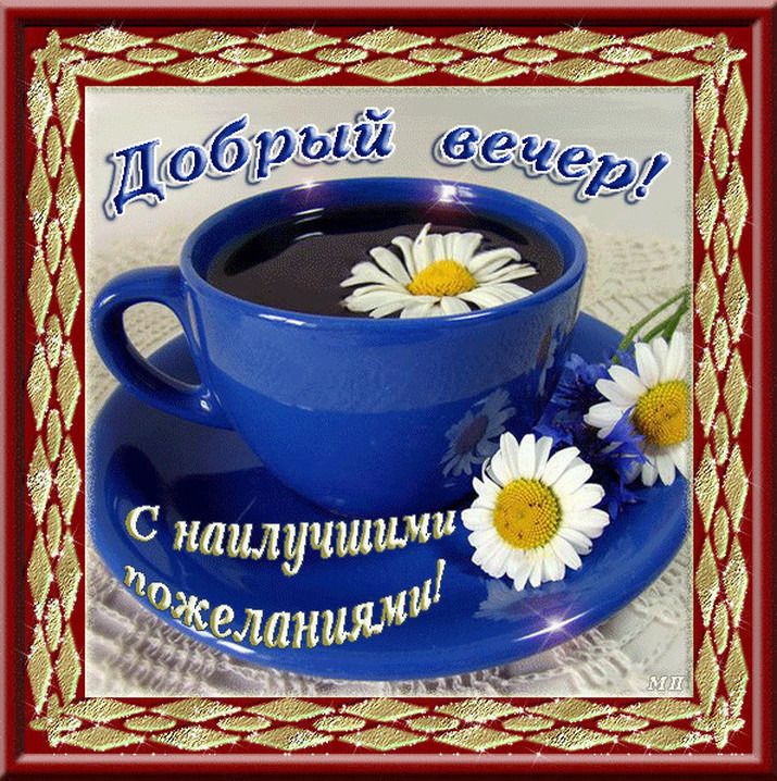 Открытка «Пожелание»: Добрый вечер с ромашкой и наилучшими пожеланиями. Тэги: улыбка, красивая, позитив, радость…