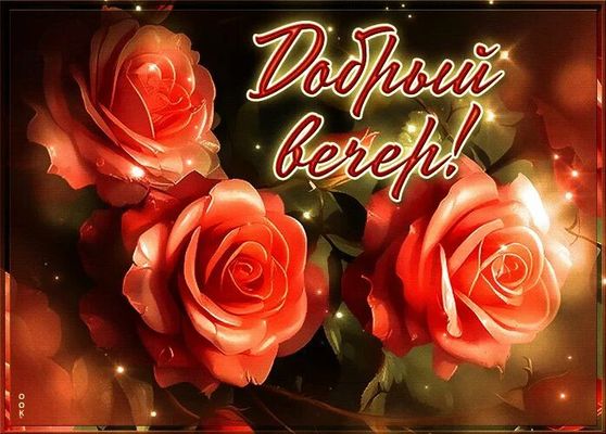 Открытка «Пожелание»: Красивая открытка «Добрый вечер!» с нежными розами. Тэги: красивая, позитив, радость, цветок…