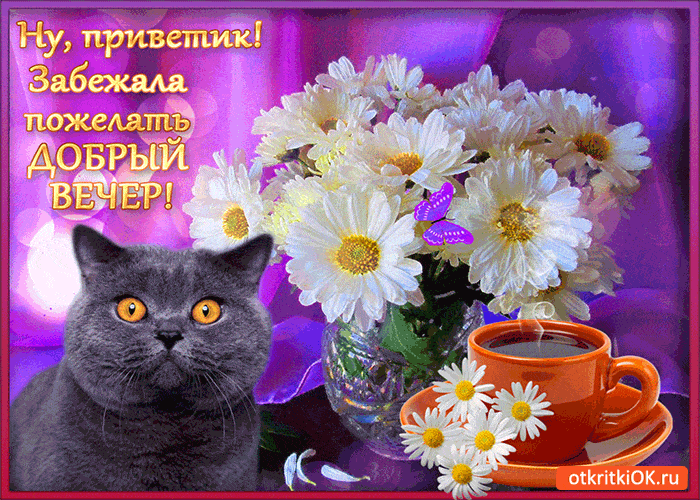 Открытка «Кот»: Милая открытка «Добрый вечер» с котом и цветами. Тэги: животное, пожелание, красивая, кофе, позитив…