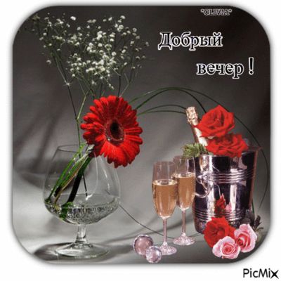 Открытка «Пожелание»: Добрый вечер! Праздничное настроение с шампанским и цветами. Тэги: красивая, позитив, радость…