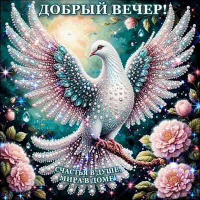 Открытка «Пожелание»: Блестящий «Добрый вечер»! Голубь и пожелание счастья. Тэги: красивая, позитив, радость, цветок…