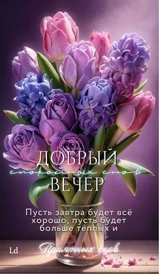 Открытка «Пожелание»: Нежный букет: Добрый вечер и приятных снов. Тэги: красивая, позитив, цветок, настроение, нежная…