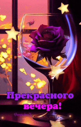 Открытка «Пожелание»: Сказочный вечер с нежной розой в бокале. Тэги: красивая, позитив, радость, цветок, окно, настро…