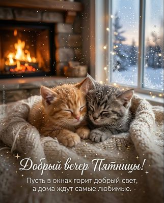 Открытка «Кот»: «Добрый вечер Пятницы!» Уют, тепло, котята.. Тэги: пожелание, красивая, окно, настроение, нежная…