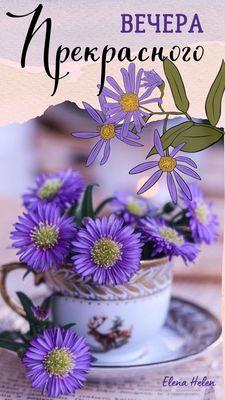 Открытка «Добрый вечер и пожелания»: «Прекрасного Вечера» с нежными цветами в чашке. Тэги: Добрый вечер, с цветами…