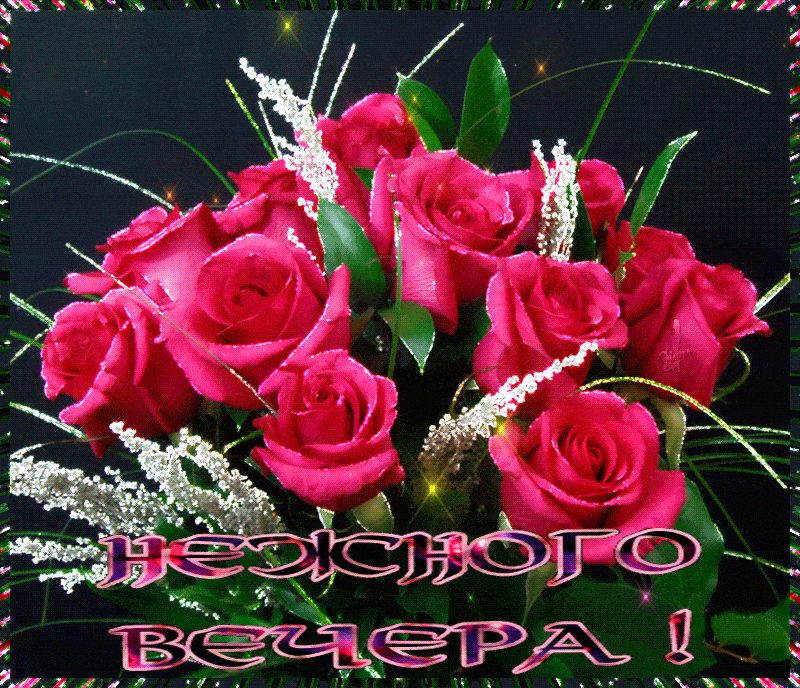 Открытка «Пожелание»: Красивый букет роз: пожелание нежного вечера. Тэги: улыбка, красивая, позитив, радость, цветок…