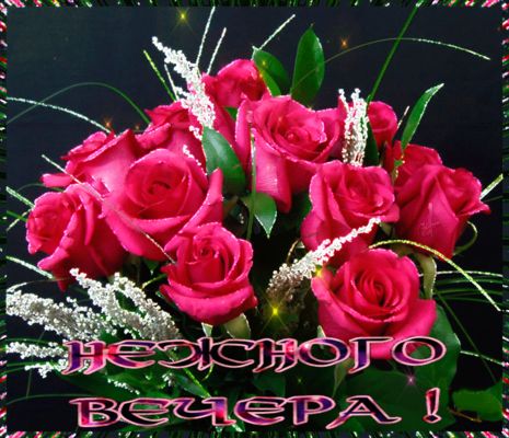 Открытка «Пожелание»: Красивый букет роз: пожелание нежного вечера. Тэги: улыбка, красивая, позитив, радость, цветок…