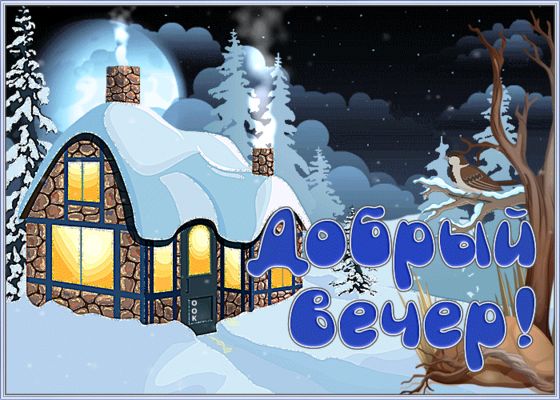 Открытка «Животное»: «Добрый вечер!» Зимняя сказка и уют. Тэги: пожелание, красивая, позитив, радость, настроение…