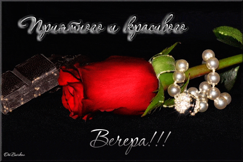 Открытка «Пожелание»: Приятного вечера! Красивая роза и нежное пожелание. Тэги: красивая, позитив, цветок, счастье…