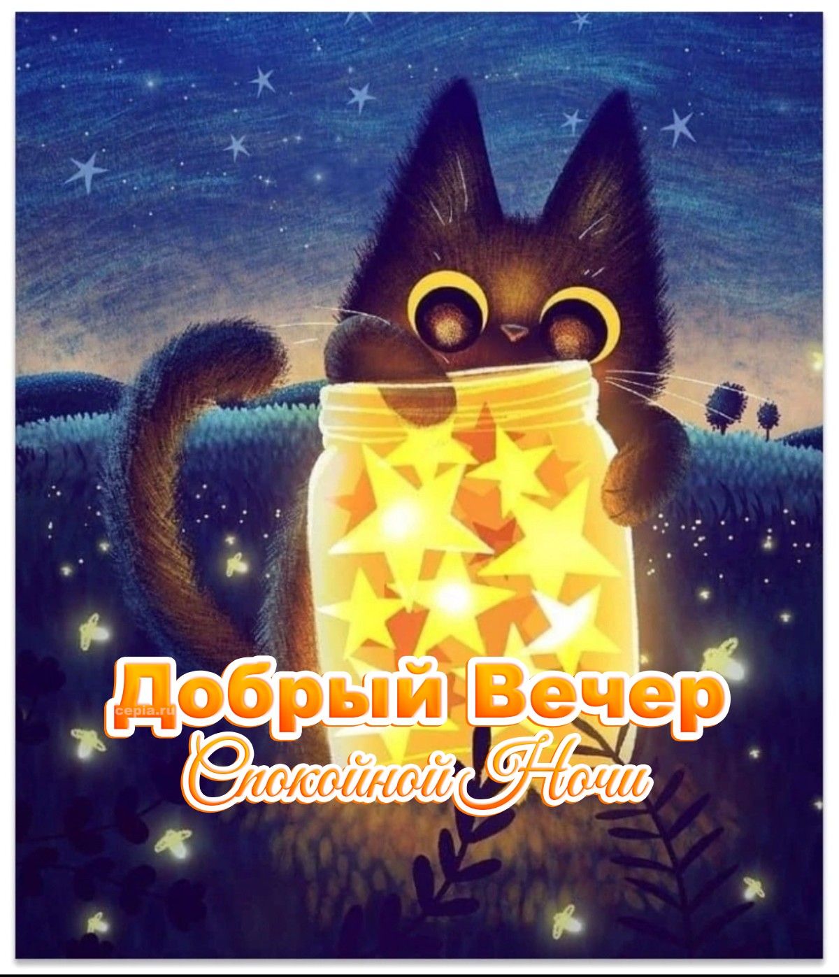 Открытка «Кот»: Добрый вечер, спокойной ночи! Волшебный кот со звёздами. Тэги: животное, пожелание, позитив, радость…