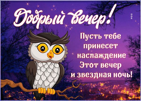 Открытка «Животное»: Добрый вечер! Милая сова и звездная ночь: пожелание. Тэги: пожелание, улыбка, красивая, позитив…