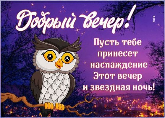 Открытка «Животное»: Добрый вечер! Милая сова и звездная ночь: пожелание. Тэги: пожелание, улыбка, красивая, позитив…