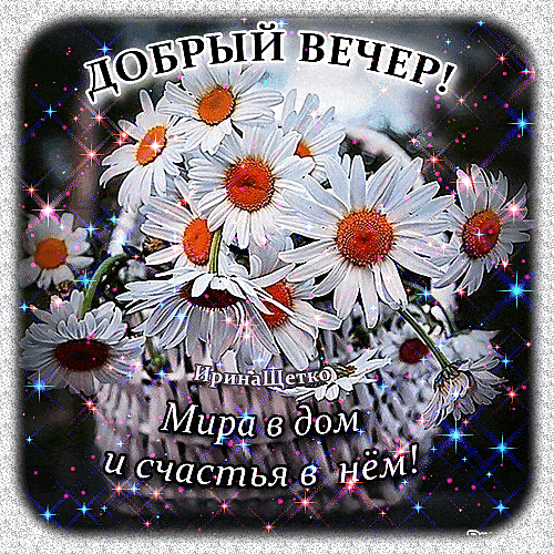 Открытка «Пожелание»: Добрый вечер: Мир и счастье с ромашками!. Тэги: красивая, позитив, цветок, настроение, счастье…