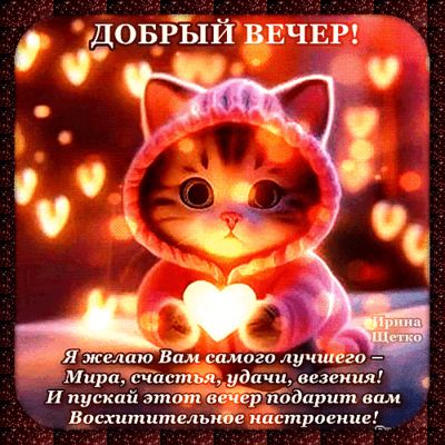Открытка «Кот»: Добрый вечер! Милый кот желает мира, счастья и удачи!. Тэги: животное, пожелание, красивая, позитив…