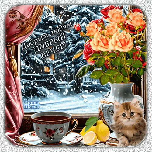 Открытка «Кот»: Добрым людям добрый вечер! Зимняя уютная открытка. Тэги: пожелание, красивая, кофе, окно, чашка…