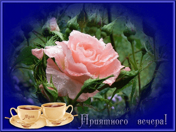 Открытка «Добрый вечер и пожелания»: Приятного вечера с нежной розой и кофе для настроения. Тэги: Добрый вечер женщине…