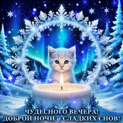Открытка «Животное»: Доброй ночи и сладких снов: милый котик и свеча. Тэги: пожелание, красивая, нежная, зима, милая…