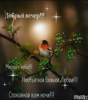 Открытка «Животное»: Добрый вечер! Мира, любви и спокойной ночи!. Тэги: пожелание, красивая, птица, нежная, природа…