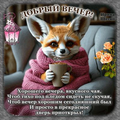 Открытка «Животное»: Уютный «Добрый вечер» с милым лисёнком и чаем. Тэги: пожелание, красивая, позитив, цветок, чай…