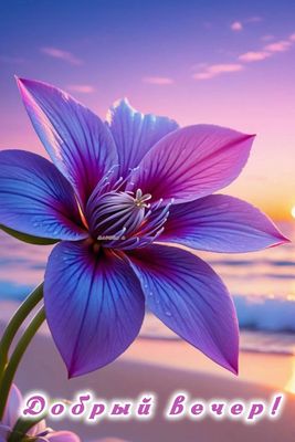 Открытка «Пожелание»: Красивая открытка Добрый вечер с нежным цветком. Тэги: красивая, позитив, радость, цветок…